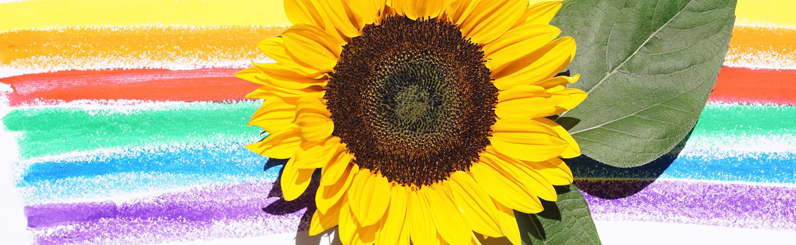 اكساء احترافي لمشاريعك