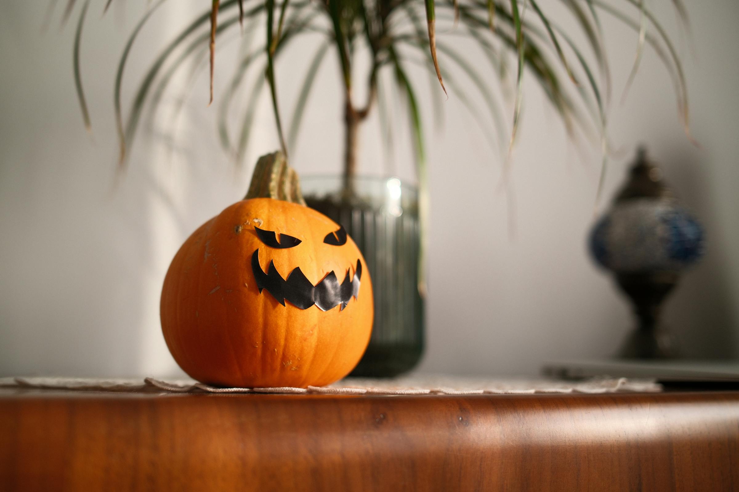 لوان تنبض بالحياة